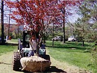 Landscape Design