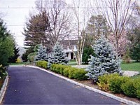 Landscape Design