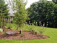 Landscape Design