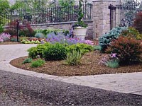 Landscape Design