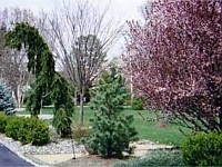 Landscape Design