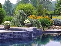 Landscape Design