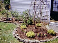 Landscape Design