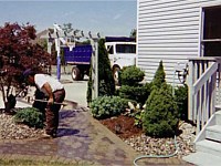 Landscape Design
