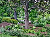 Landscape Design