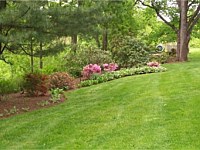 Landscape Maintenance