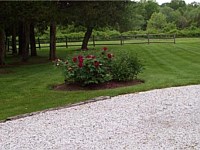 Landscape Maintenance