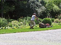 Landscape Maintenance