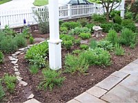 Landscape Maintenance
