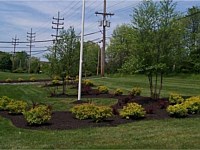 Landscape Maintenance