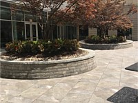 Landscape Design