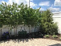 Landscape Design