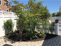 Landscape Design
