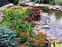 Water Gardens