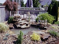 Water Gardens