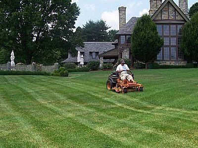 residential garden